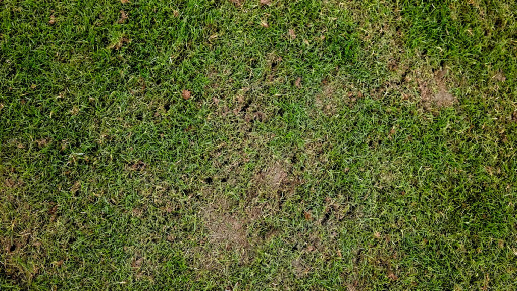 Bills’ initial grass field had “major deformations”