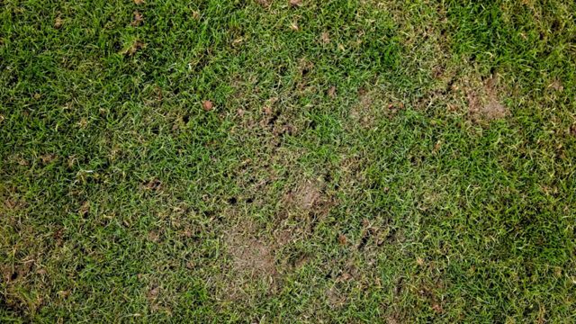 Bills’ initial grass field had “major deformations”