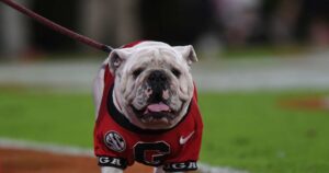 Georgia’s Iconic Dog Mascot Uga XI Won’t Attend Rivalry Game vs. Texas, Mascot Bevo