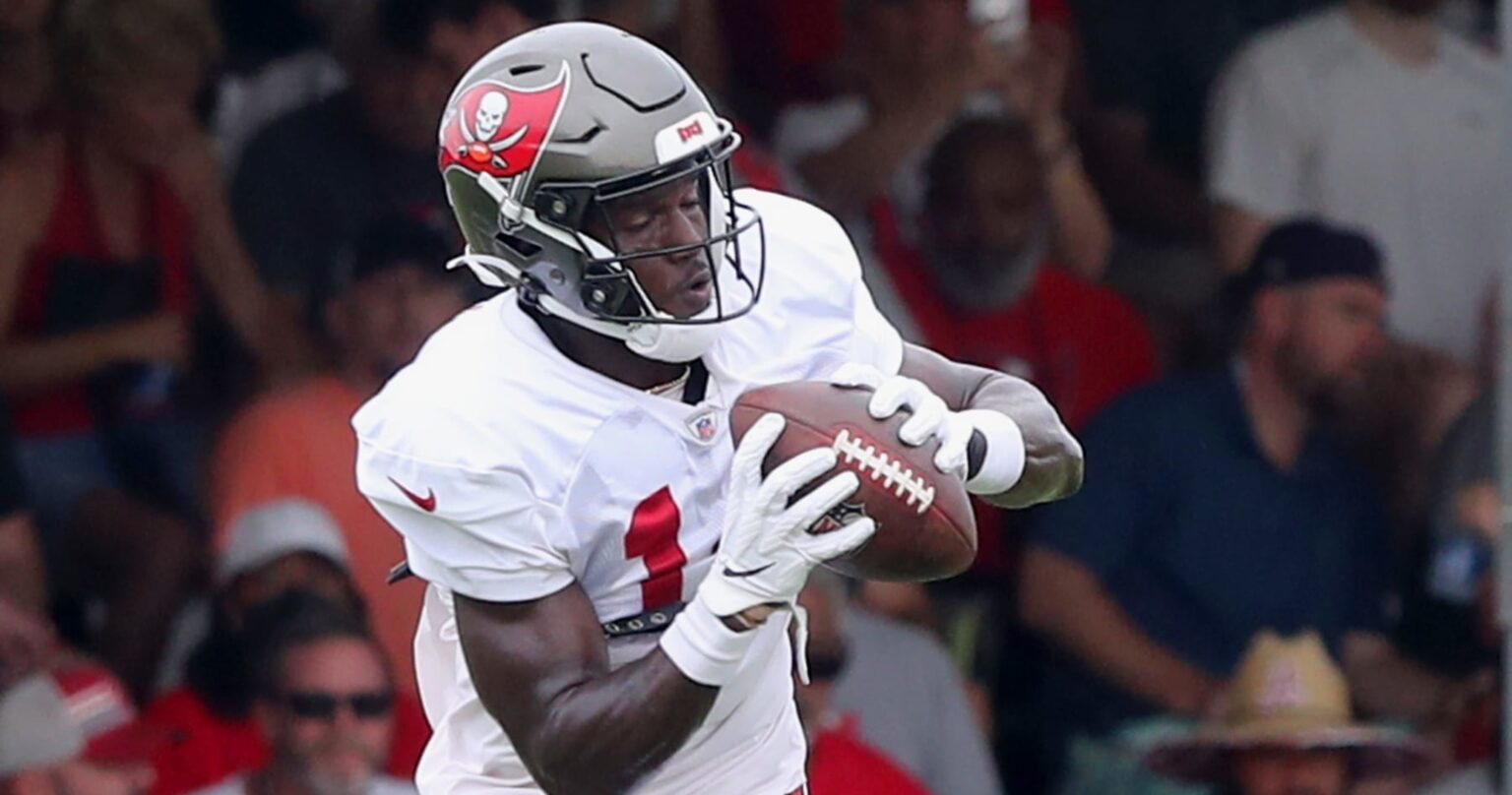 Bucs’ Chris Godwin Carted Off Field After Suffering Ankle Injury vs. Ravens