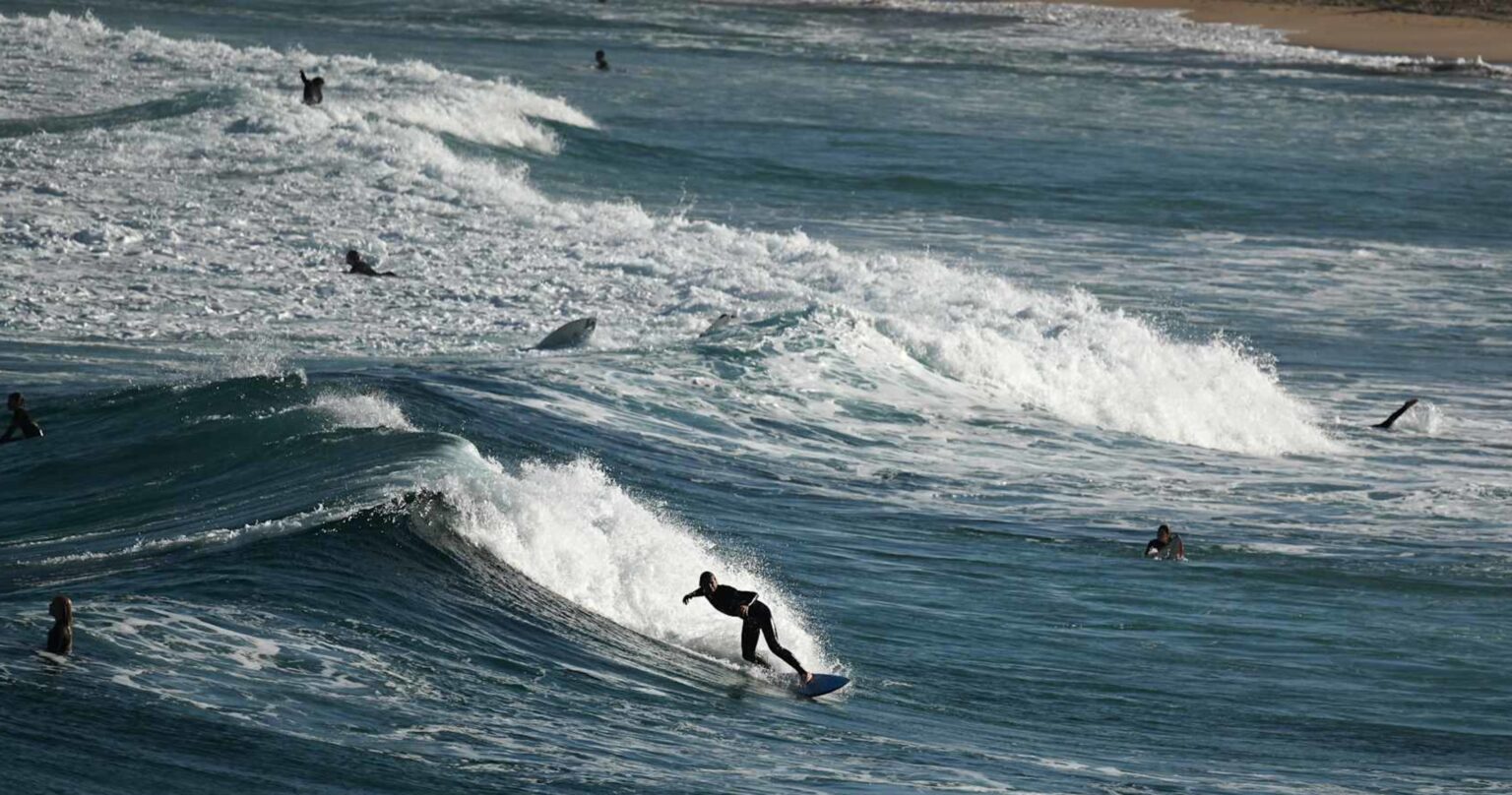 Italian Surfer Giulia Manfrini Dies at Age 36 After Being Impaled by Swordfish