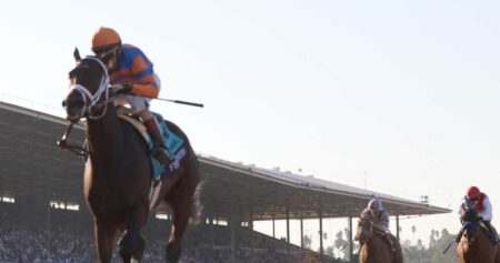 Breeders’ Cup 2024: Odds and Predictions for All Races