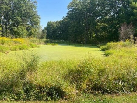 An Ohio 9-hole golf course and clubhouse was auctioned off for more than 0K