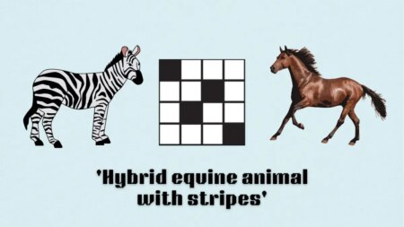 ‘Hybrid equine animal with stripes’ NYT Mini Crossword puzzle clues, answer and hints