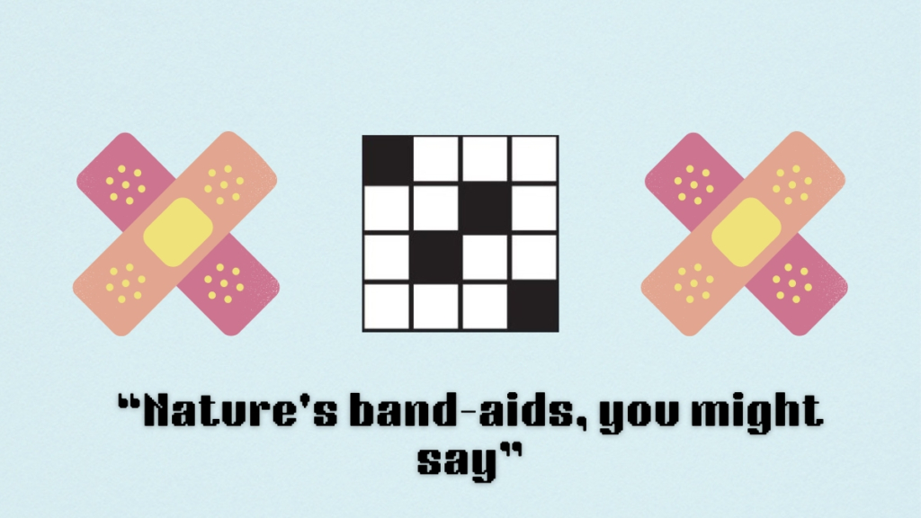 ‘Nature’s band-aids, you might say’ NYT Mini Crossword puzzle clue answer and hints