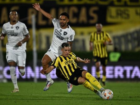 Botafogo ride first-leg advantage to Copa Libertadores final