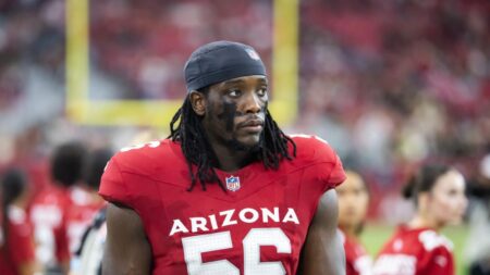 Cardinals activate rookie DL Darius Robinson from IR