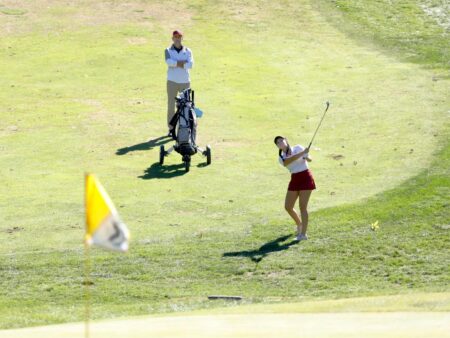 State bound: Downing leads Dover golfers to district title