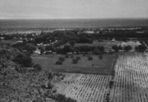 The key moments in the history of golf in the desert, from the first golf courses to the first tournaments