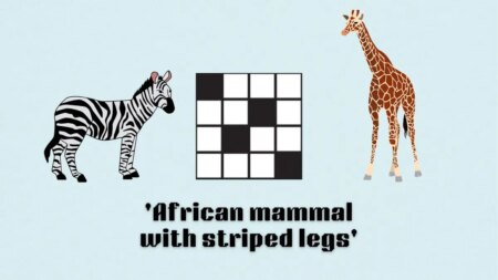 ‘African mammal with striped legs’ NYT Mini Crossword puzzle clues answer and hints