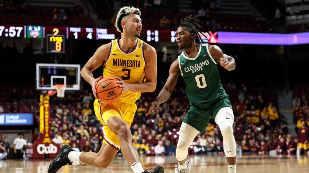 Minnesota vs. Wichita State prediction, odds: 2024 college basketball picks, Nov. 28 bets from proven model