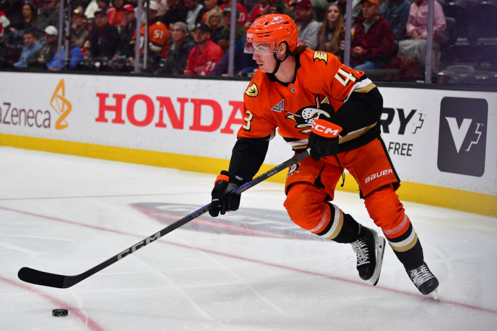 Ducks’ Helleson Has Make or Break Opportunity With Latest Call-up