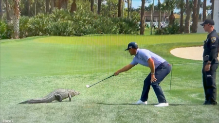 Billy Horschel goes full Florida man, uses wedge to push away alligator at Cognizant Classic