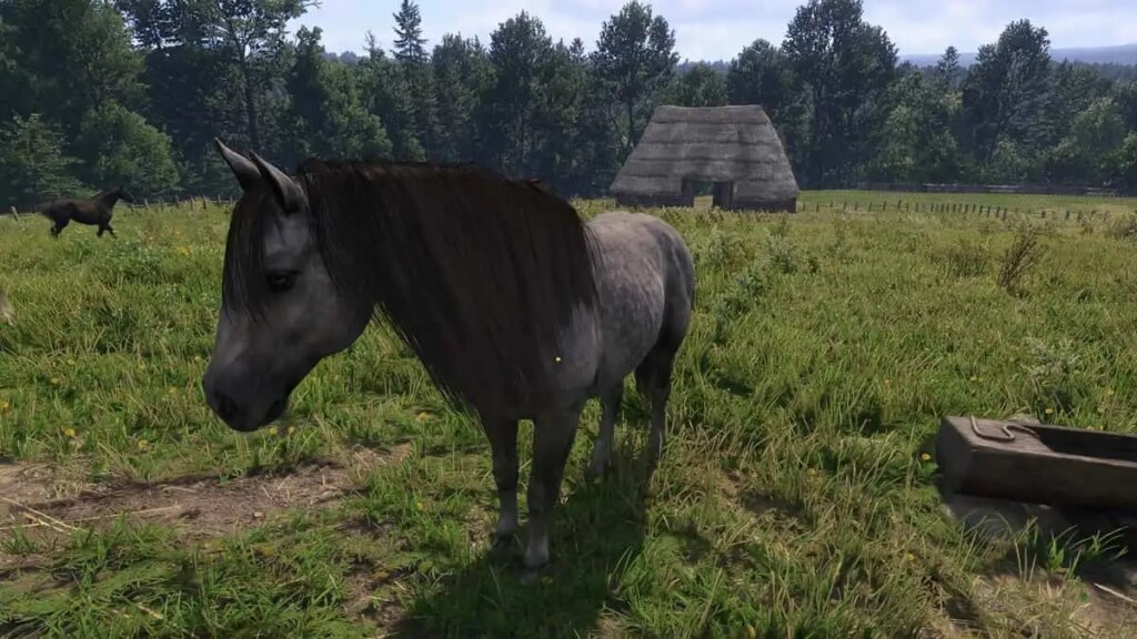 How to get your horse Pebbles back in Kingdom Come Deliverance 2