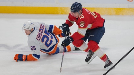 Islanders snap seven-game win streak with 6-3 loss at Panthers