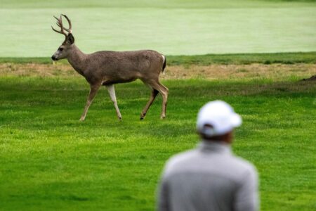 Third-round tee times, how to watch the 2025 AT&T Pebble Beach Pro-Am