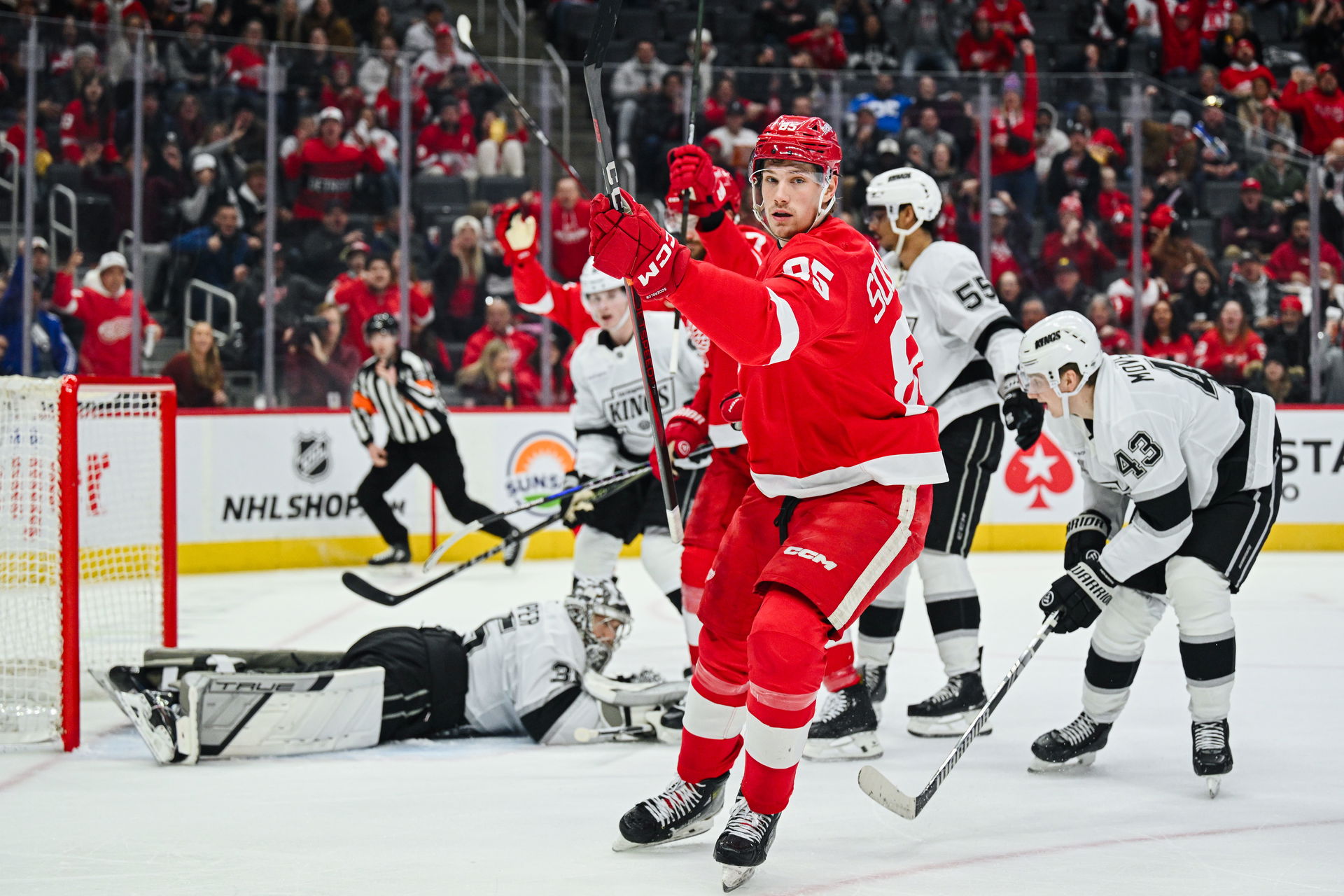 Injury Update: Red Wings Potentially Without Soderblom, Gustafsson for Remainder of Road Trip