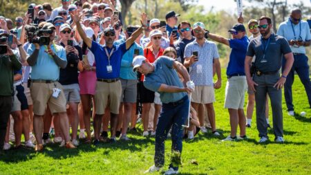 McIlroy, Scheffler keep crowd buzz going at Players, but not at Tiger level