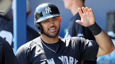 Jasson Dominguez drives in two runs as Yankees and Rays play to tie