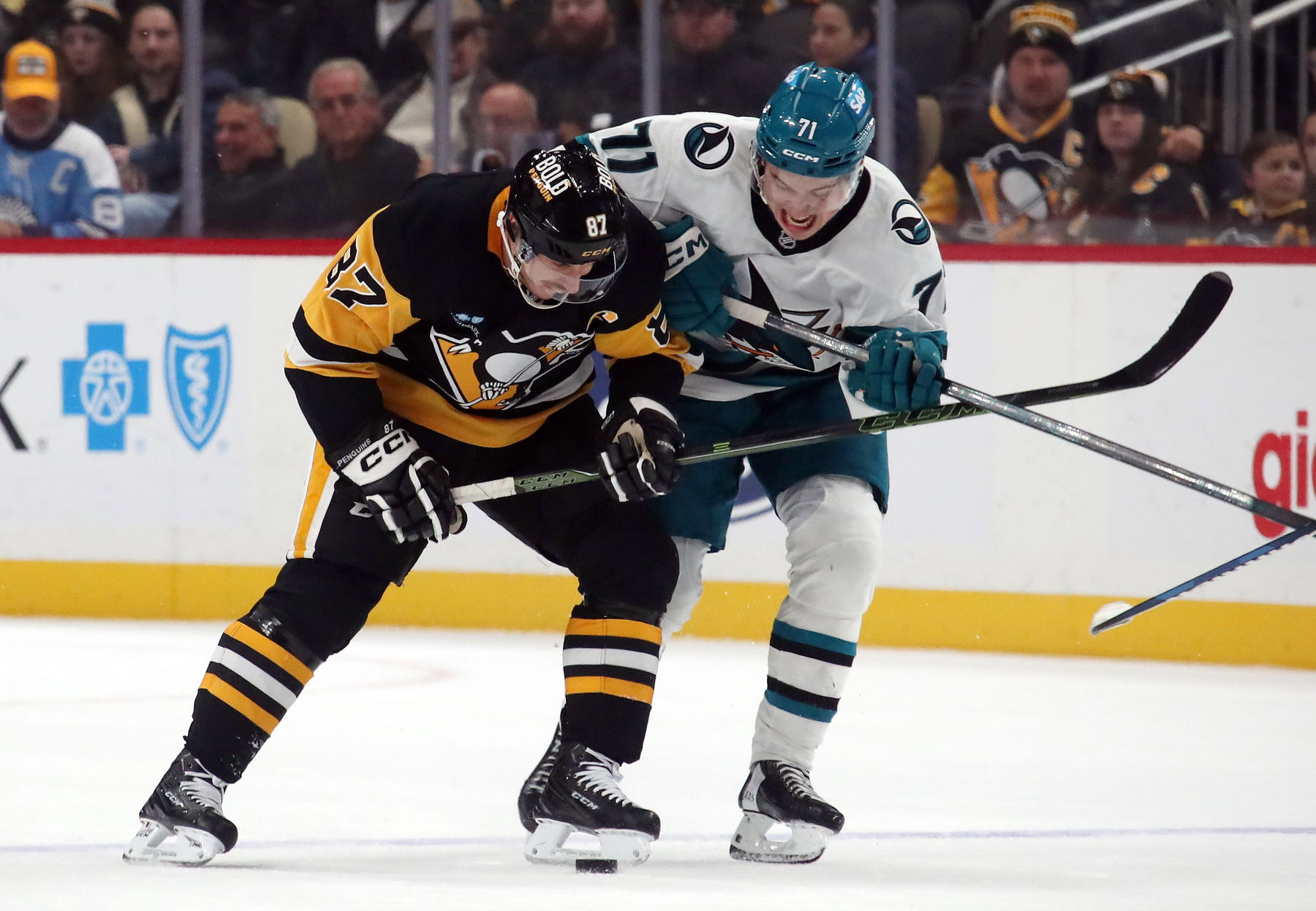 Celebrini Calls Playing With Crosby “Dream Come True”
