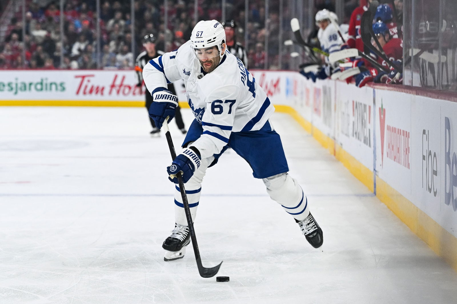 'This Is Why I'm Here': After A Nearly 3 Month Wait, Max Pacioretty Brings Experience To Maple Leafs Ahead Of Series Debut