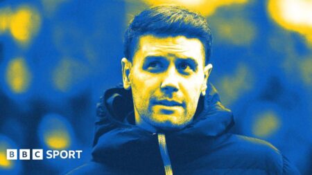 Fabian Hurzeler press conference: Wolves vs Brighton