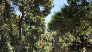 California municipal golf course to close for airport expansion