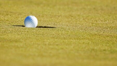 Closed for decade, Vegas golf course sold at auction for .8 million