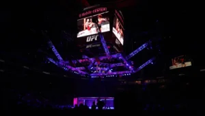 How to bet on UFC: A guide to understanding bet types, fight odds, key terms