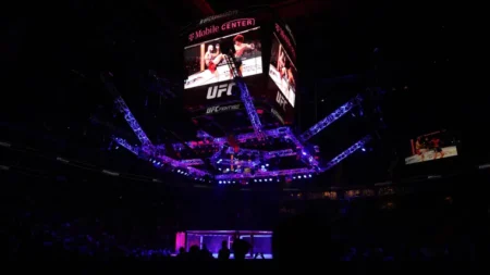 How to bet on UFC: A guide to understanding bet types, fight odds, key terms