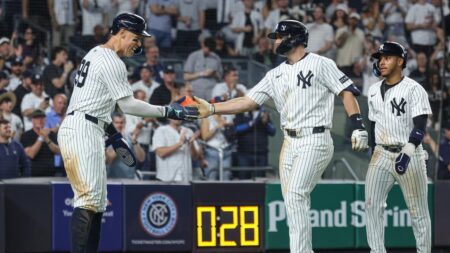 Max Fried dominates, Paul Goldschmidt homers in Yankees' 3-0 win over Rays
