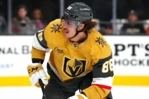 Report: Red Wings Interested in NHL Return for Former Ducks Second Rounder