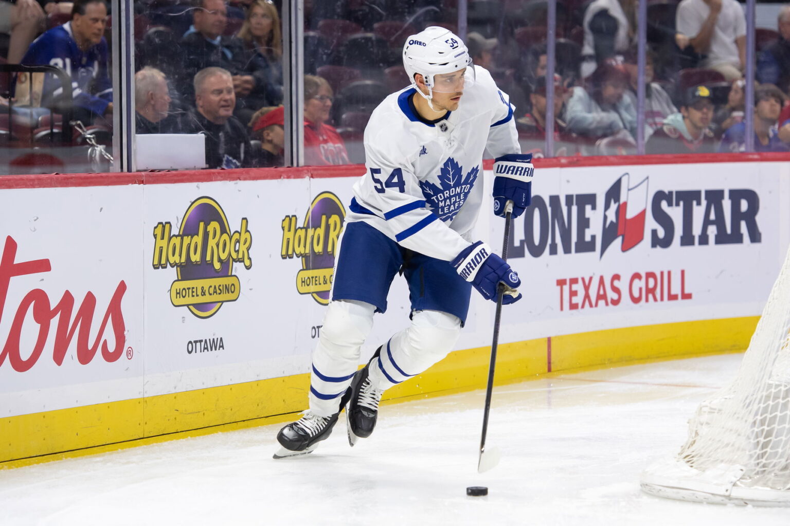 Leafs AHL D-Man Signs With German Club