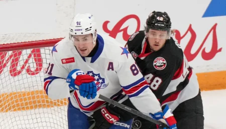 Ottawa Senators Prospect Parts Ways With Organization And Signs Back Home In Sweden