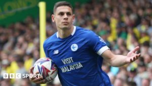 Cardiff City: Aaron Ramsey expects interest in striker Yousef Salech