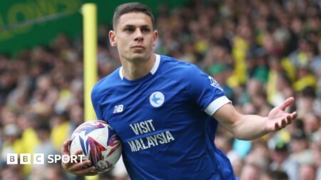 Cardiff City: Aaron Ramsey expects interest in striker Yousef Salech