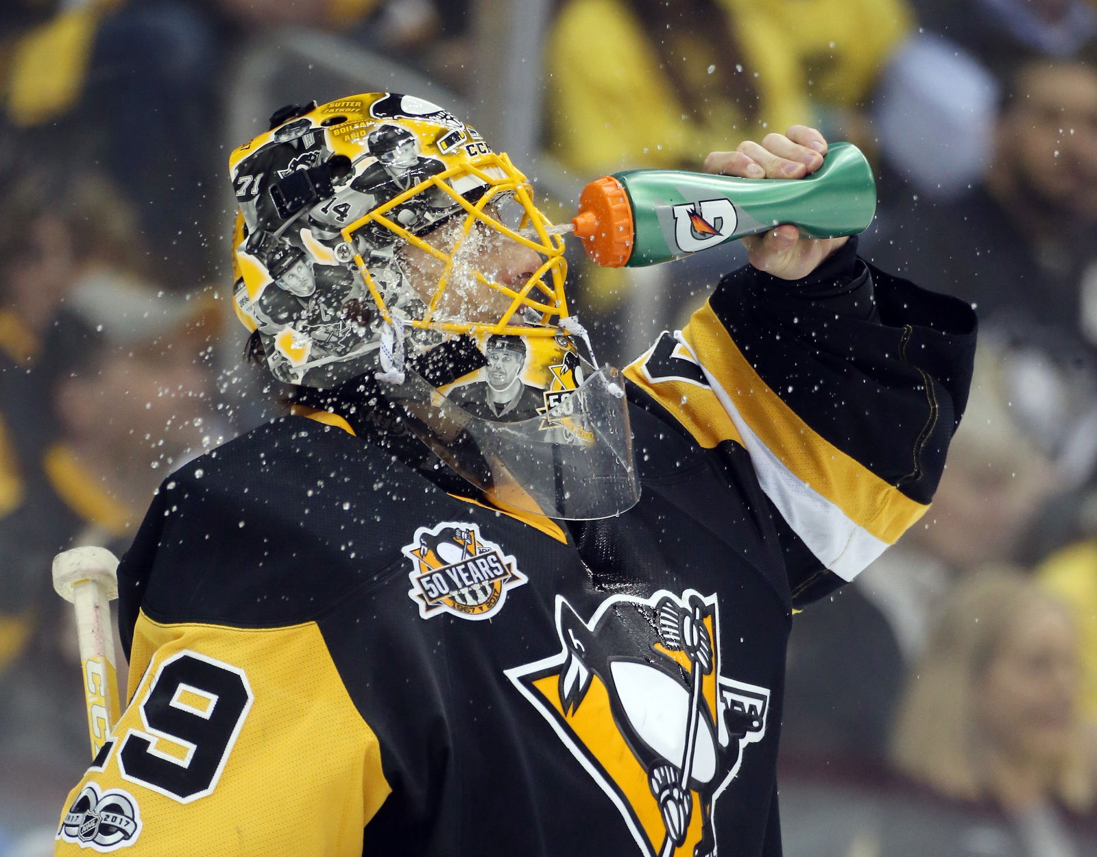 Marc-Andre Fleury - Credit: Charles LeClaire-Imagn Images