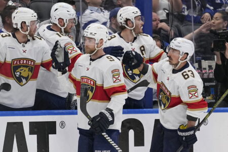 Panthers Duo a Strong Potential Red Wings Free Agent Fit