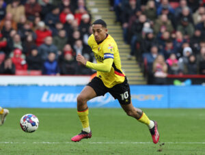 Brighton announce club-record signing of Joao Pedro from Watford