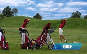 Golf roundup: Alex boys dominate in Fergus Falls meet – West Central Tribune