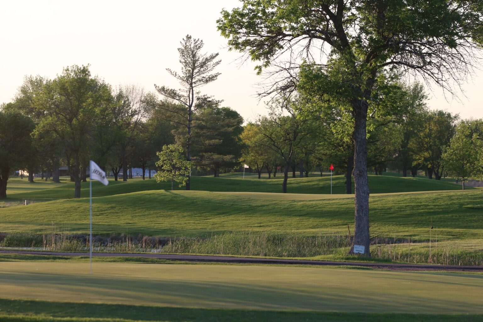 Should Lakeview Golf Course have its own official ranger? – Mitchell Republic