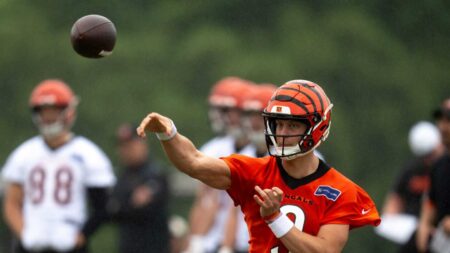 Joe Burrow wins PFWA’s George Halas Award