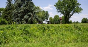 Goodrich Golf Course reopens, celebration set
