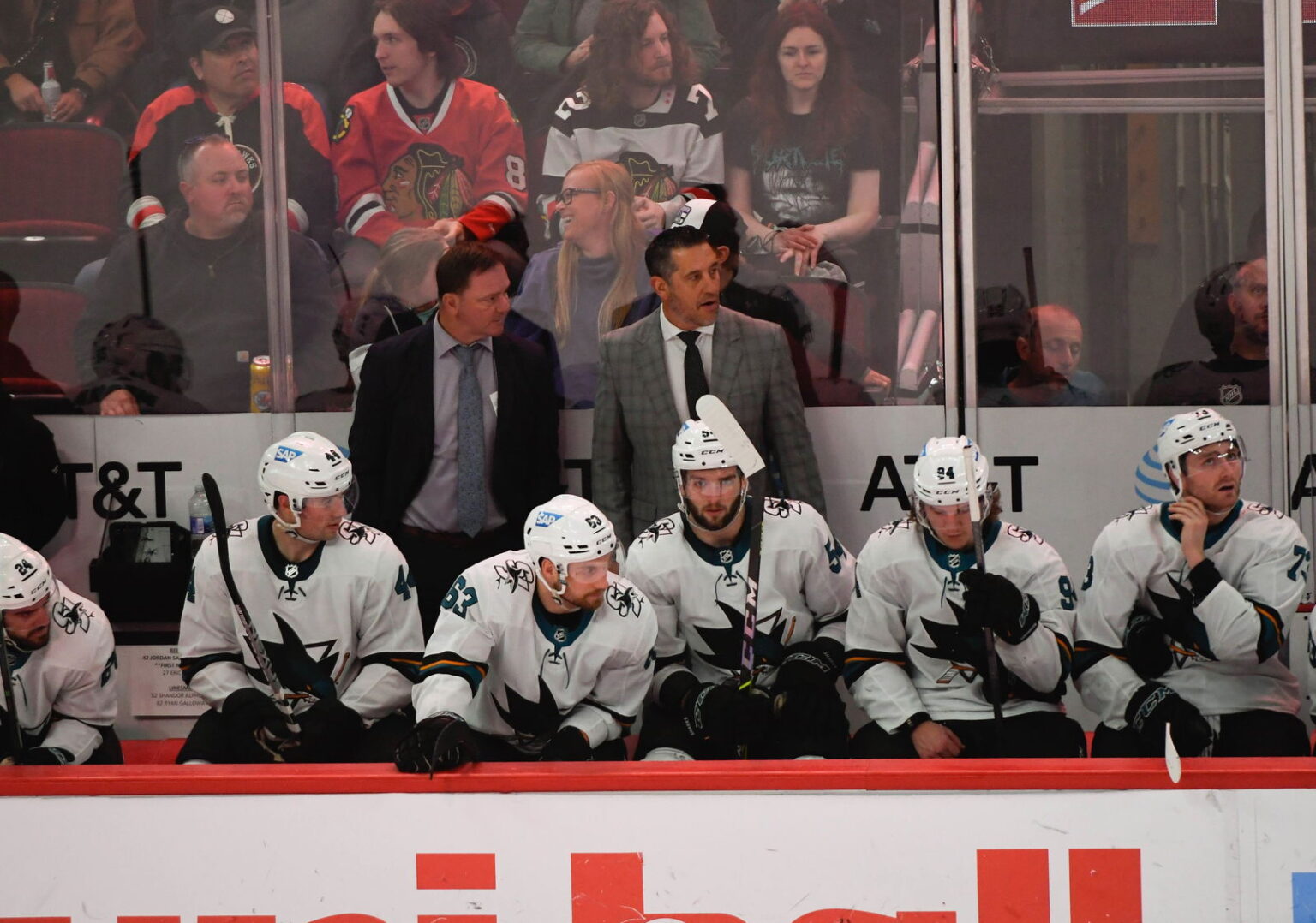 Former Sharks Head Coach Lands New Gig
