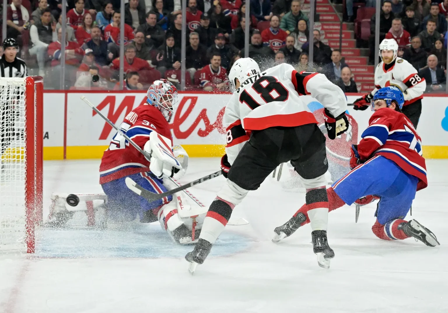 Ottawa Senators Star Named to Preliminary 2026 Winter Olympic Roster