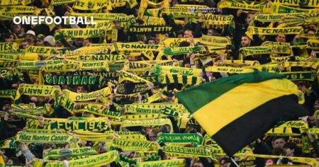 Nantes face no sanction from the DNCG