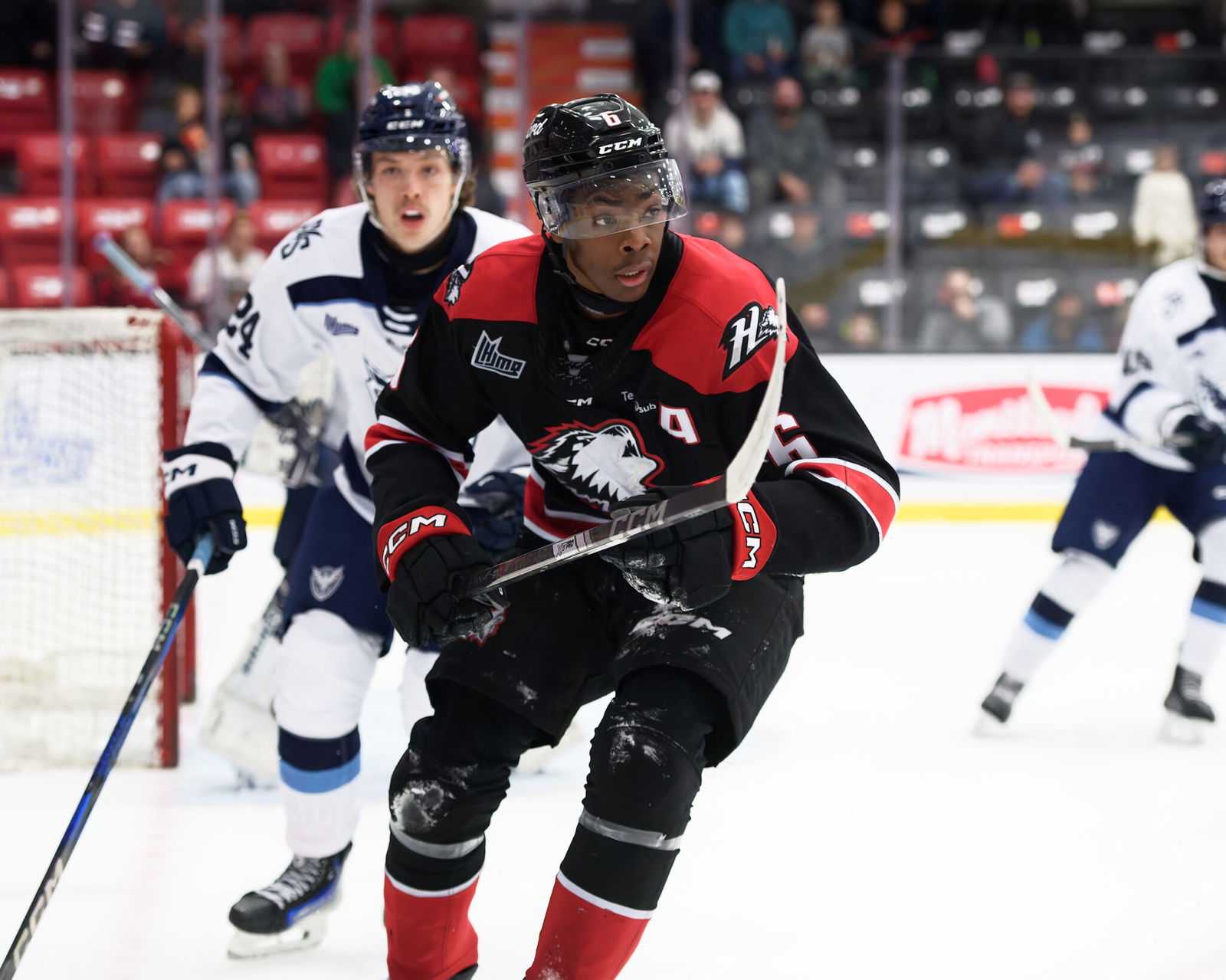 Photo credit: Rouyn-Noranda Huskies