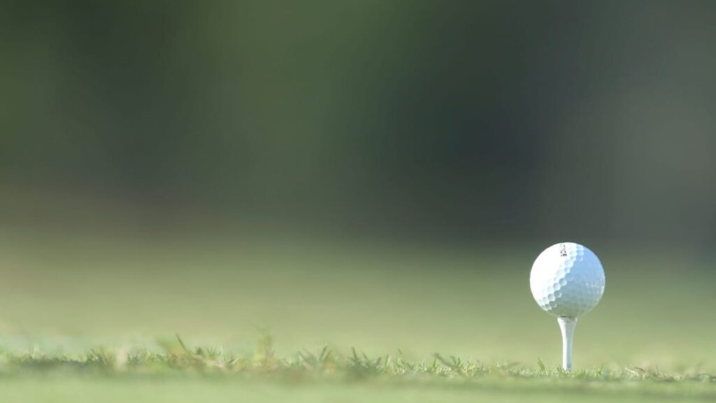 Sophia Connett takes co-lead in Wisconsin State Women’s Open