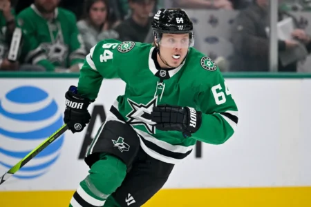 Ducks Potential Free Agent Fits: Middle Six Center