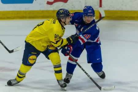 Mock Drafts List Two Top Prospects on Red Wings' Radar Ahead of NHL Draft